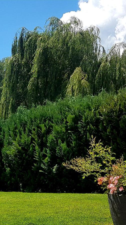 Alpen Apart Heiss بروتز المظهر الخارجي الصورة